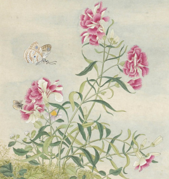 gallica-btv1b10052637j_10.jpg