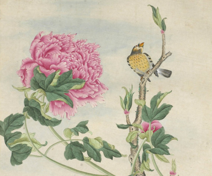 gallica-btv1b10052637j_11.jpg