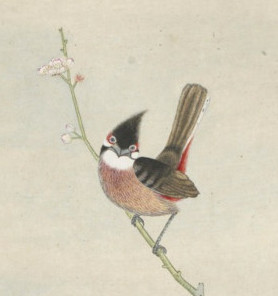 gallica-btv1b10052637j_4.jpg