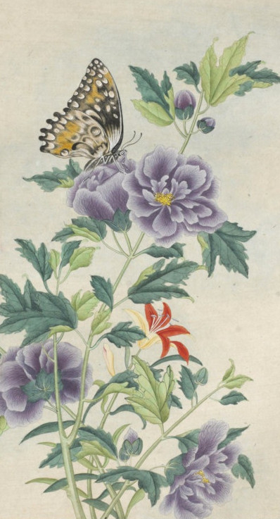 gallica-btv1b10052637j_6.jpg