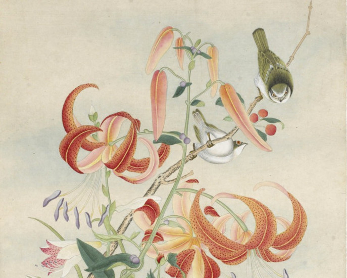 gallica-btv1b10052637j_8.jpg