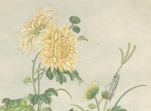 gallica-btv1b10052637j_9.jpg